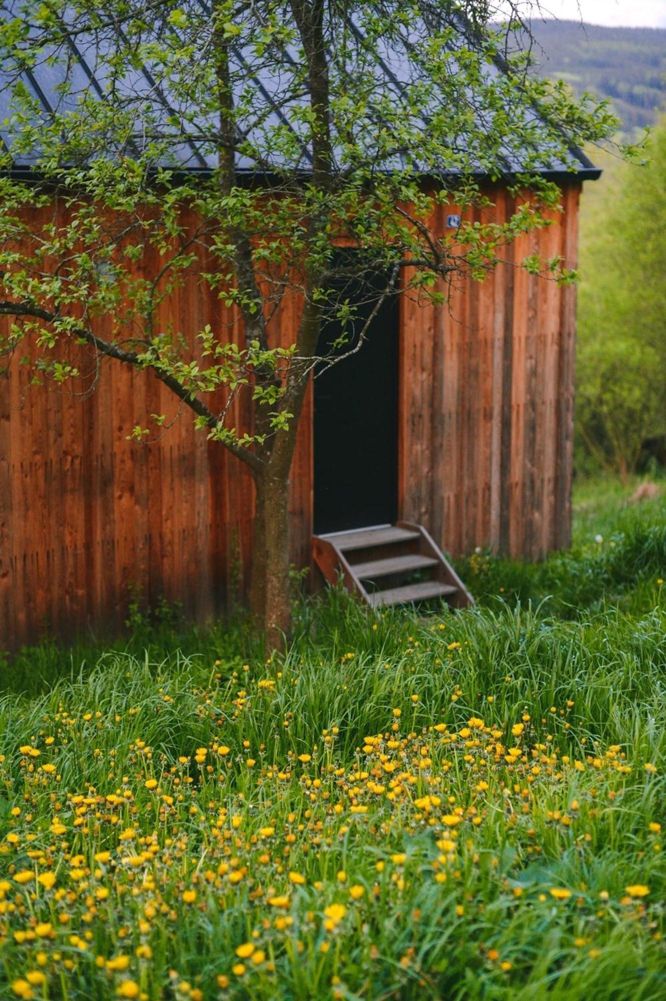 Tri Domky - Tiny Houses Depoltice Buitenkant foto